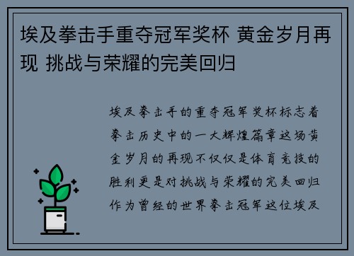埃及拳击手重夺冠军奖杯 黄金岁月再现 挑战与荣耀的完美回归